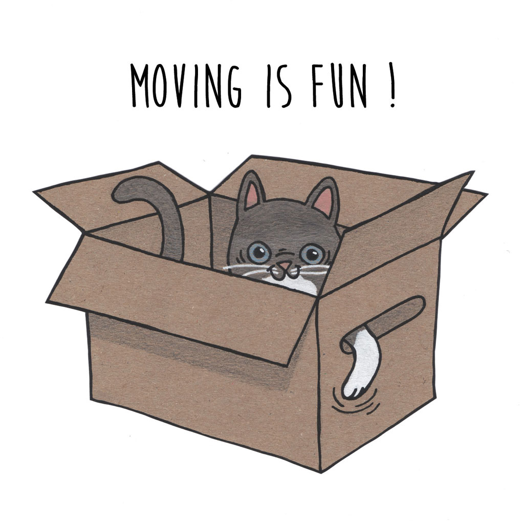 moving-is-fun